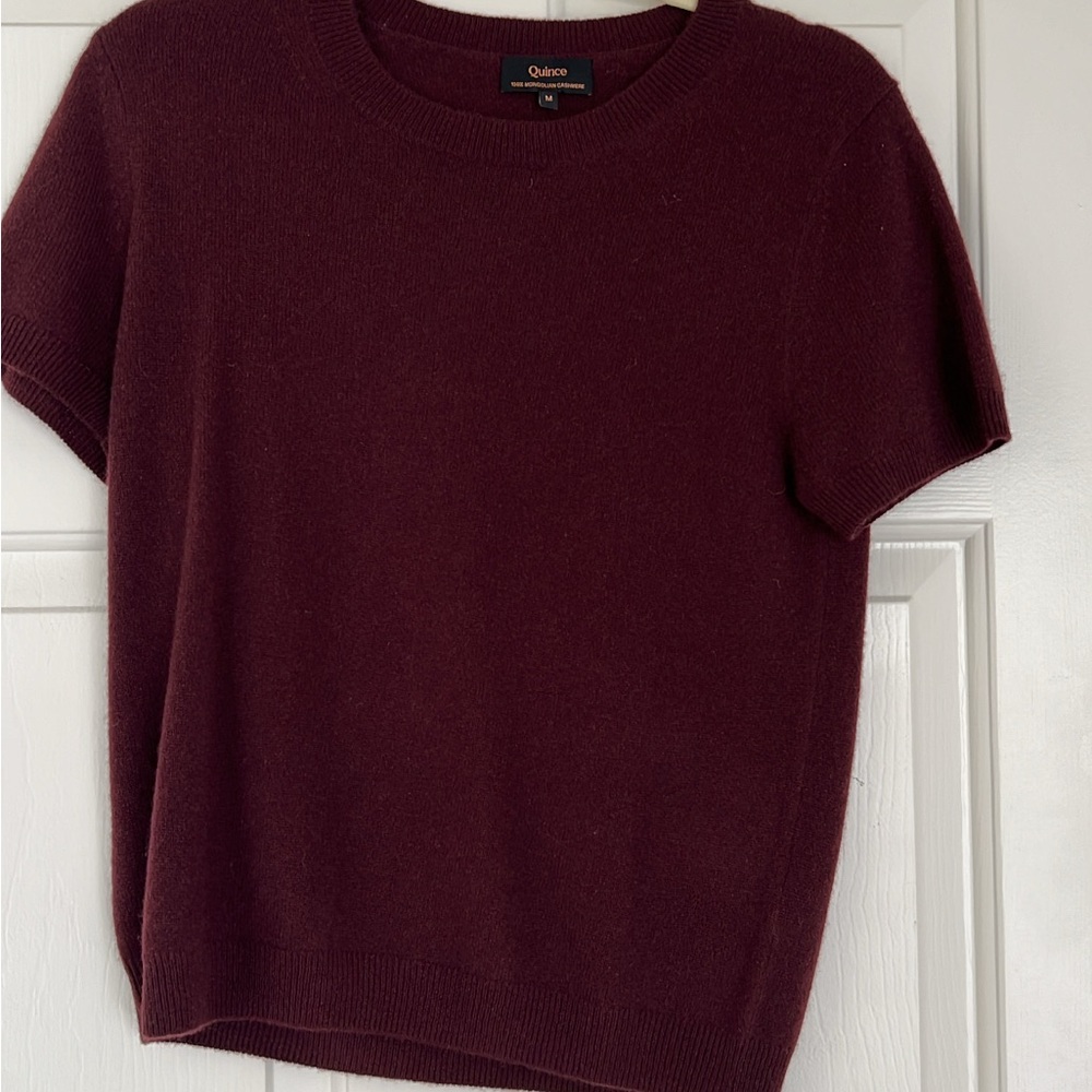 NWOT Mongolian cashmere Burgundy t shirt Top